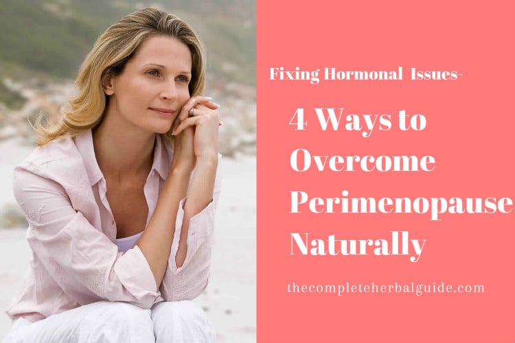 4 Ways To Overcome Perimenopause Naturally