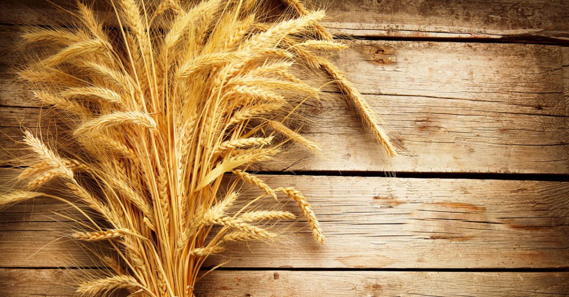 5_Barley Tops the Heart-Healthy Grains List. 22 Reasons Why