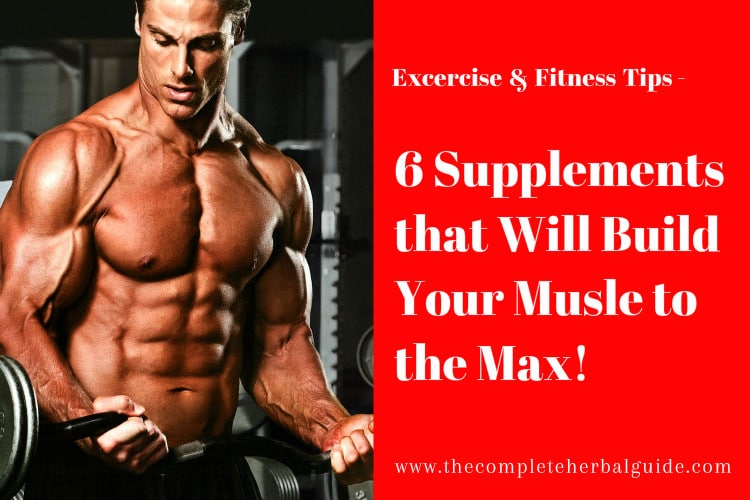 6 Supplements that Will Build Your Musle to the Max!