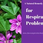A Natural Remedy for Respiratory Problems