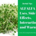 ALFALFA - Uses, Side Effects, Interactions and Warnings