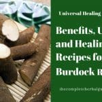 Benefits, Uses and Healing Recipes for Burdock Root