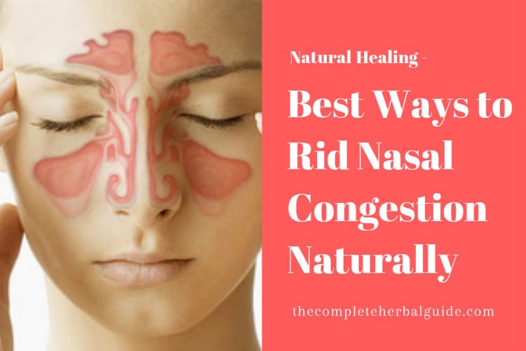 Best Ways to Rid Nasal Congestion Naturally