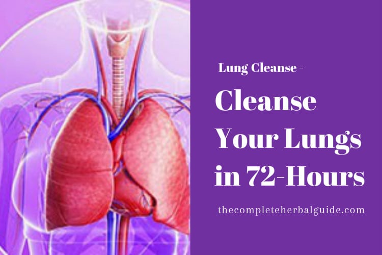 Cleanse Your Lungs in 72-Hours
