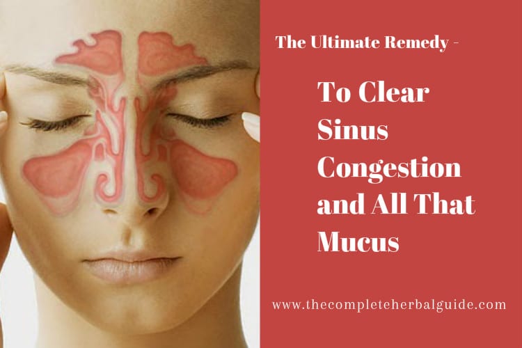Clear Sinus Congestion and All That Mucus
