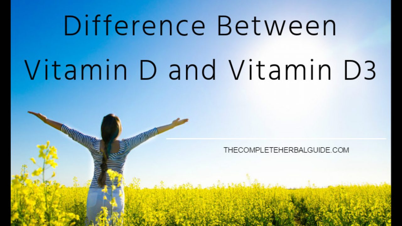 Difference Between Vitamin D And Vitamin D3 The Complete