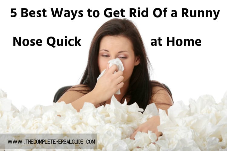 Get Rid Of a Runny Nose Quick at Home