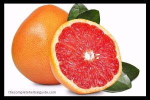 grapefruit seed extract candida