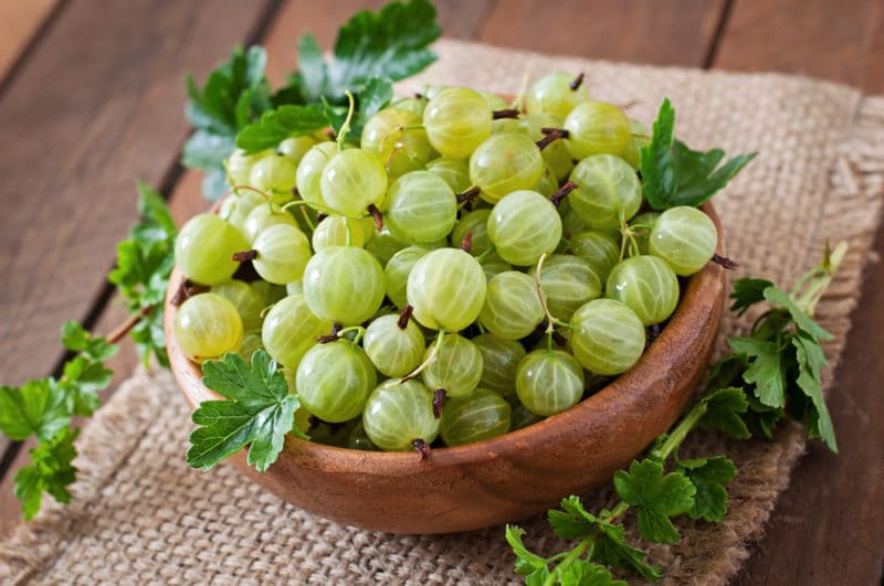 indian-gooseberry-the-complete-guide-to-natural-healing