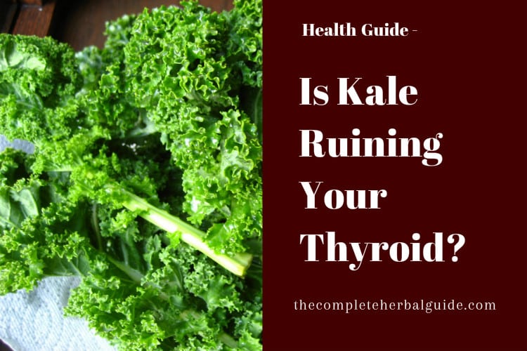 Is Kale Ruining Your Thyroid?