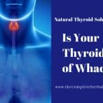 Is Your Thyroid Out of Whack?