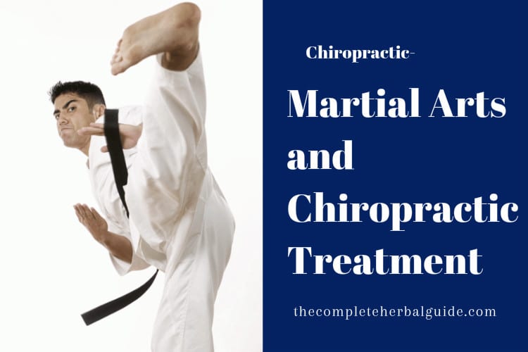 Martial Arts and Chiropractic Treatment