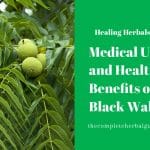 Medical Uses and Health Benefits of Black Walnut