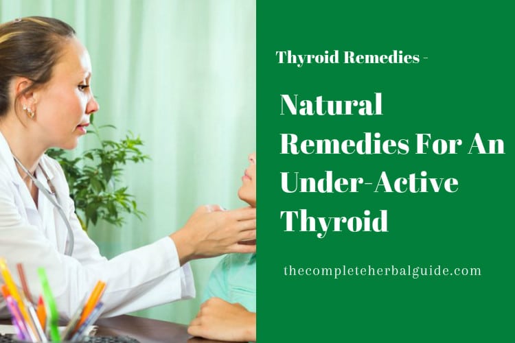 Natural Remedies For An Under-Active Thyroid