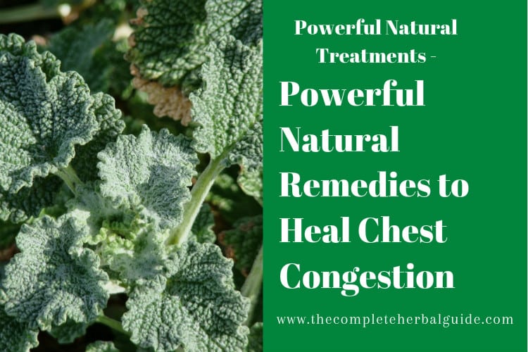 Powerful Natural Remedies to Heal Chest Congestion