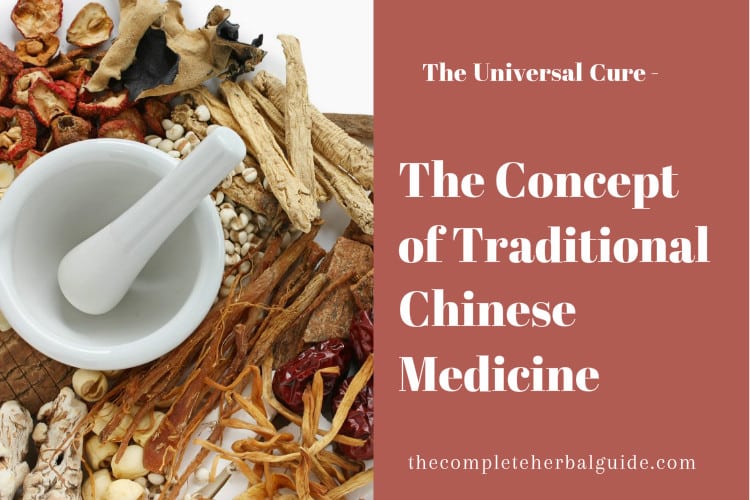 The Concept of Traditional Chinese Medicine