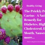 The Prickly Pear Cactus - A Natural Remedy for Diabetes, High Cholesterol, Dry Mouth, Nausea and more...