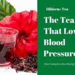 The Tea That Lowers Blood Pressure