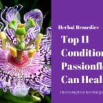Top 11 Conditions Passionflower Can Heal