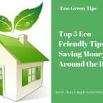 Top 5 Eco-Friendly Tips for Saving Money Around the House