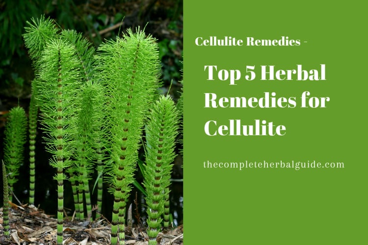 Top 4 Ways to Get Rid of Cellulite Naturally