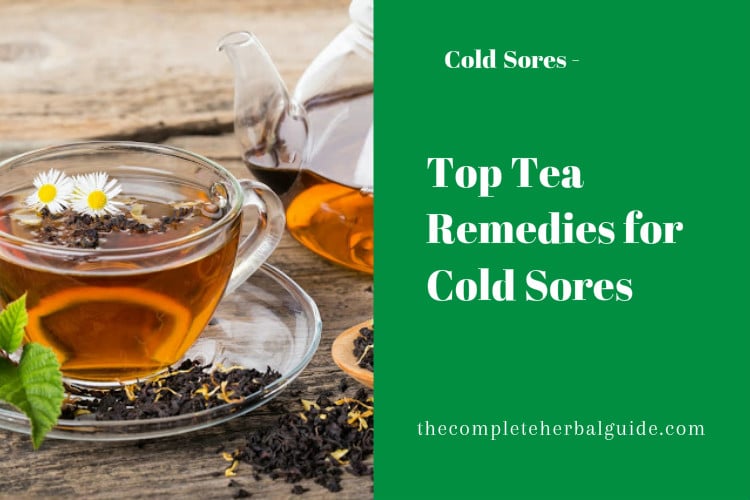 Top Tea Remedies for Cold Sores