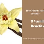 Vanilla-Absolute-Oil 3