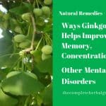 Ways Ginkgo Biloba Helps Improve Memory, Concentration, and Other Mental Disorders