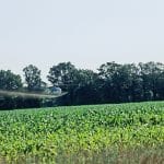 What-Are-Toxins-and-What-Damage-Can-They-Do-To-Your-Body