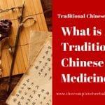 What is Traditional Chinese Medicine?