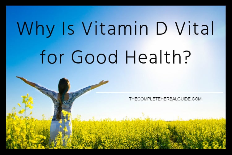 Why Is Vitamin D Vital for Good Health?