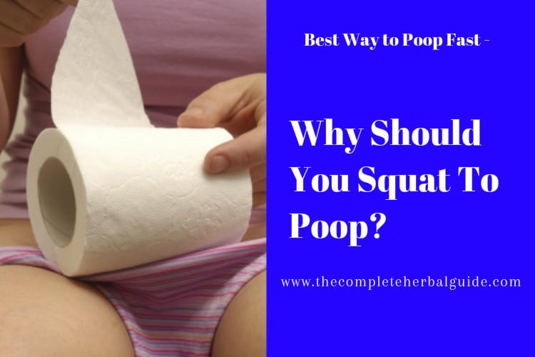 Why Should You Squat To Poop?