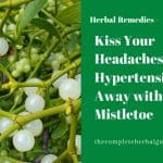 Kiss Your Headaches and Hypertension Away with Mistletoe