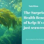 The Surprising Health Benefits of Kelp: It's not just seaweed