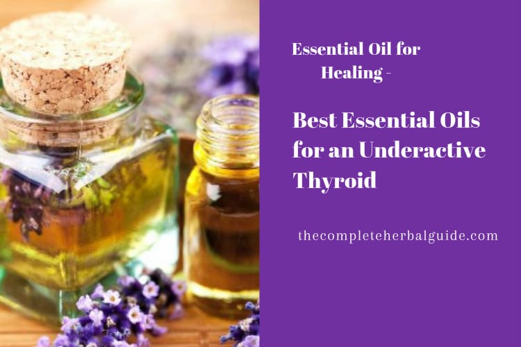 Best Essential Oils for an Underactive Thyroid
