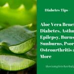 Aloe Vera Benefits: Diabetes, Asthma, Epilepsy, Burns, Sunburns, Psoriasis, Osteoarthritis and More
