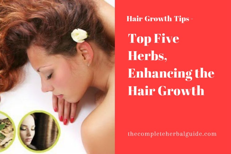 Top Five Herbs Enhancing Hair Growth - Health and Natural Healing Tips