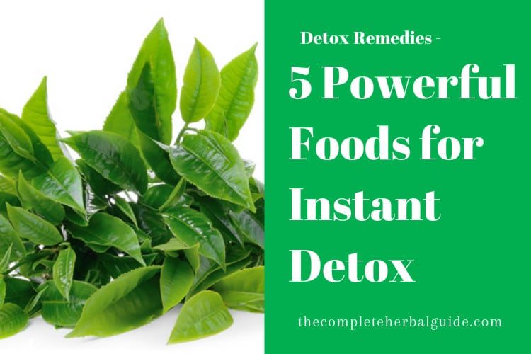 5 Powerful Foods for Instant Detox