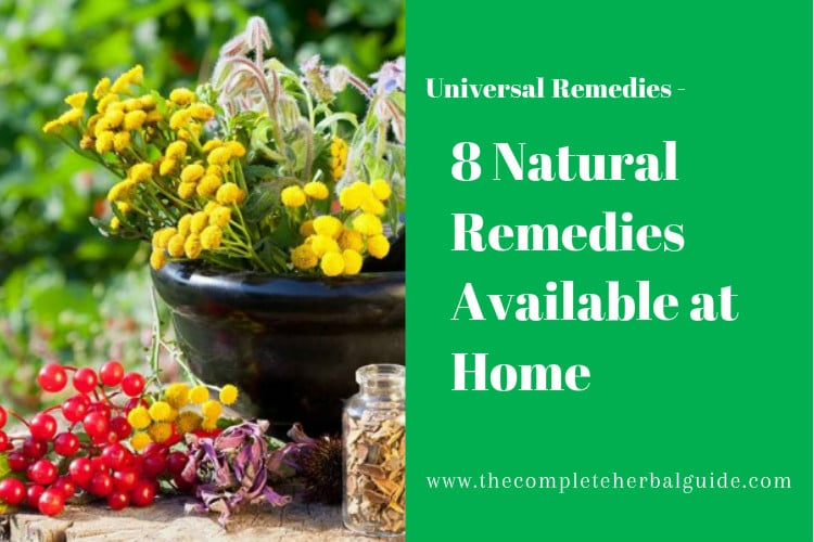 8 Natural Remedies Available At Home The Complete Herbal Guide   8 Natural Remedies Available At Home 