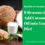 9 Reasons to Add Coconut Oil into Your Diet