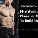 Five Workout Plans For Men To Build Muscle