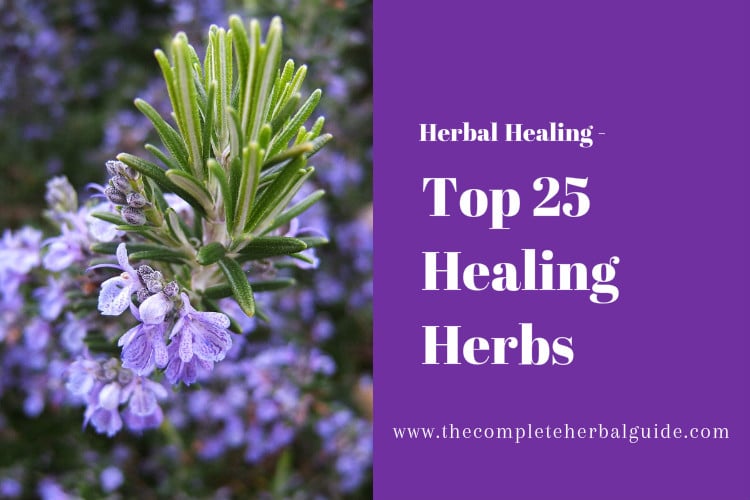 Top 25 Healing Herbs