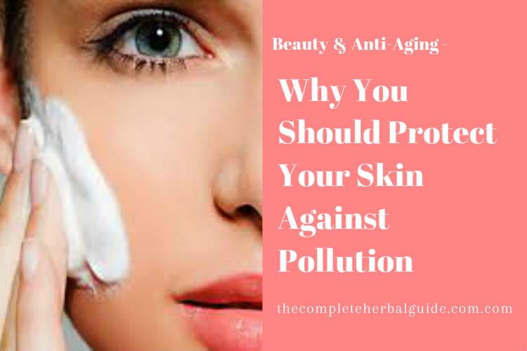 Why You Should Protect Your Skin Against Pollution