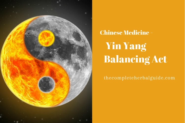 Chinese Medicine: Yin Yang Balancing Act