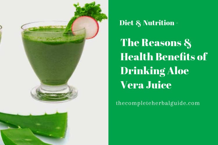 The Reasons & Health Benefits of Drinking Aloe Vera Juice