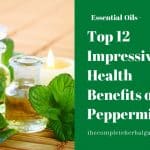 Top 12 Impressive Health Benefits of Peppermint