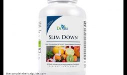 dr vita slimdown