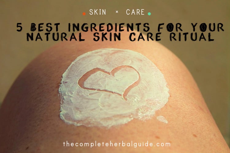 5 Best Ingredients for Your Natural Skin Care Ritual