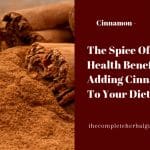 The Spice Of Life: Health Benefits Of Adding Cinnamon To Your Diet