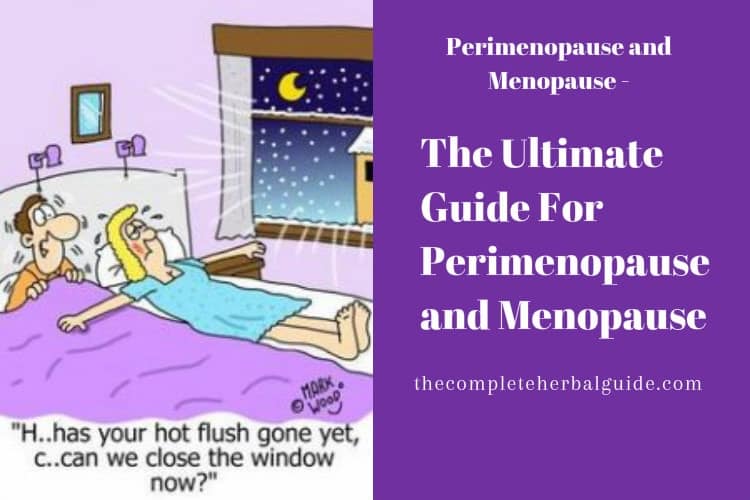 The Ultimate Guide For Perimenopause and Menopause